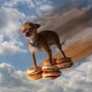 Meet your Posher, Kristi